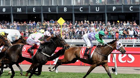 2015 melbourne cup results - Melbourne Cup prince of penzance.